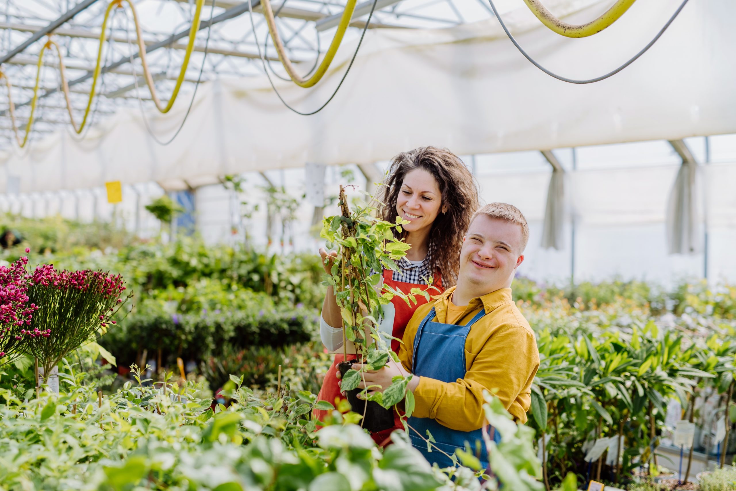 Man and woman gardening in greenhouse